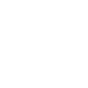 Vision 2030